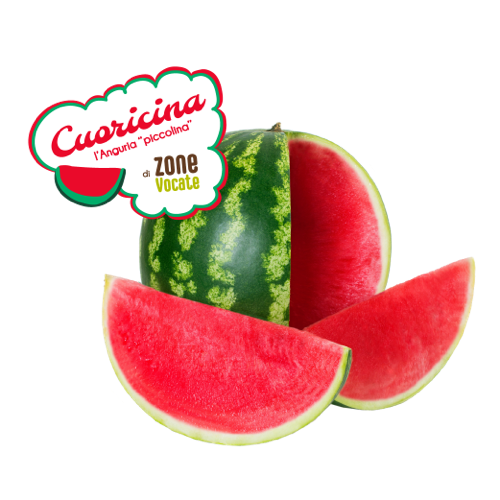 Cuoricina l’Anguria Piccolina